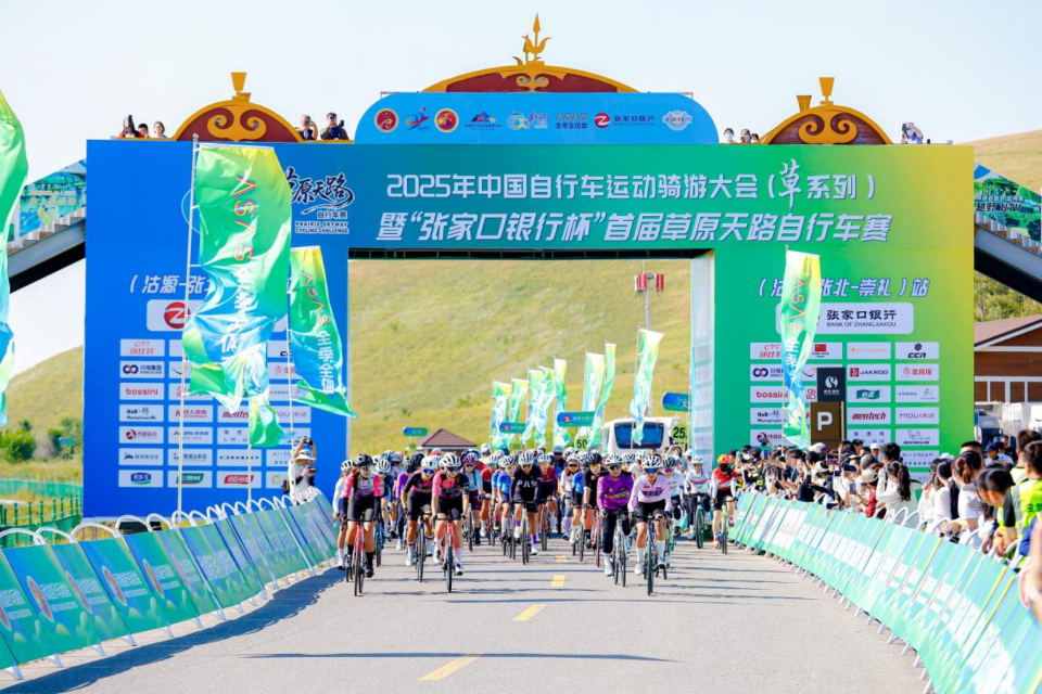 带来藜麦 带来藜麦